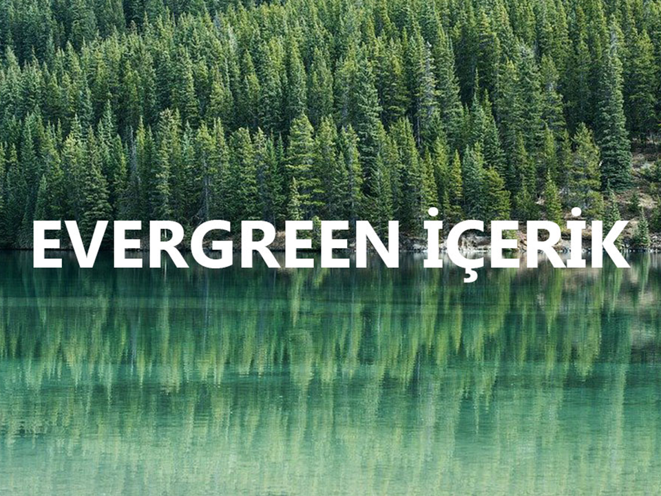 B2B Alanında Evergreen İçerik Ne Demektir?